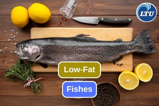 Exploring Low-Fat Fish Options for Healthy Diet